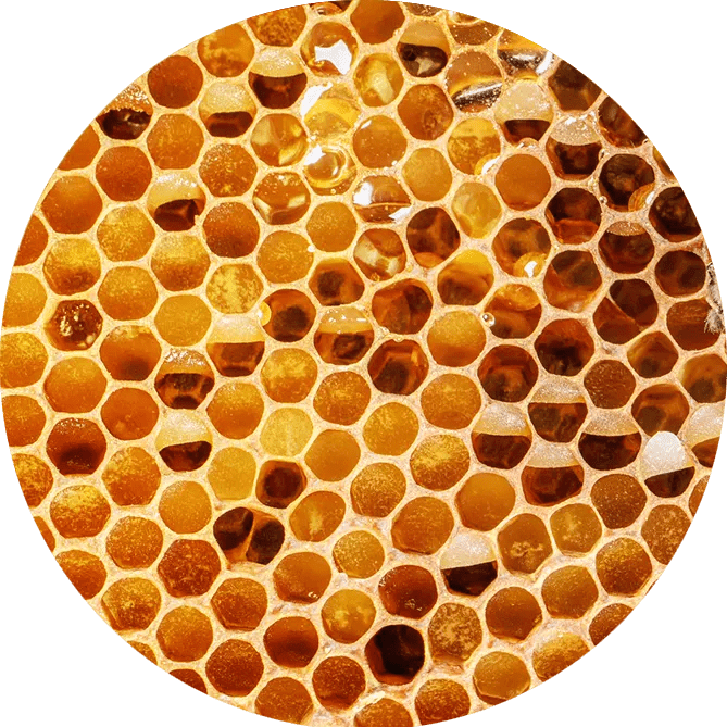 Beeswax 